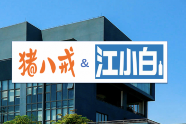 走进重庆江小白&猪八戒